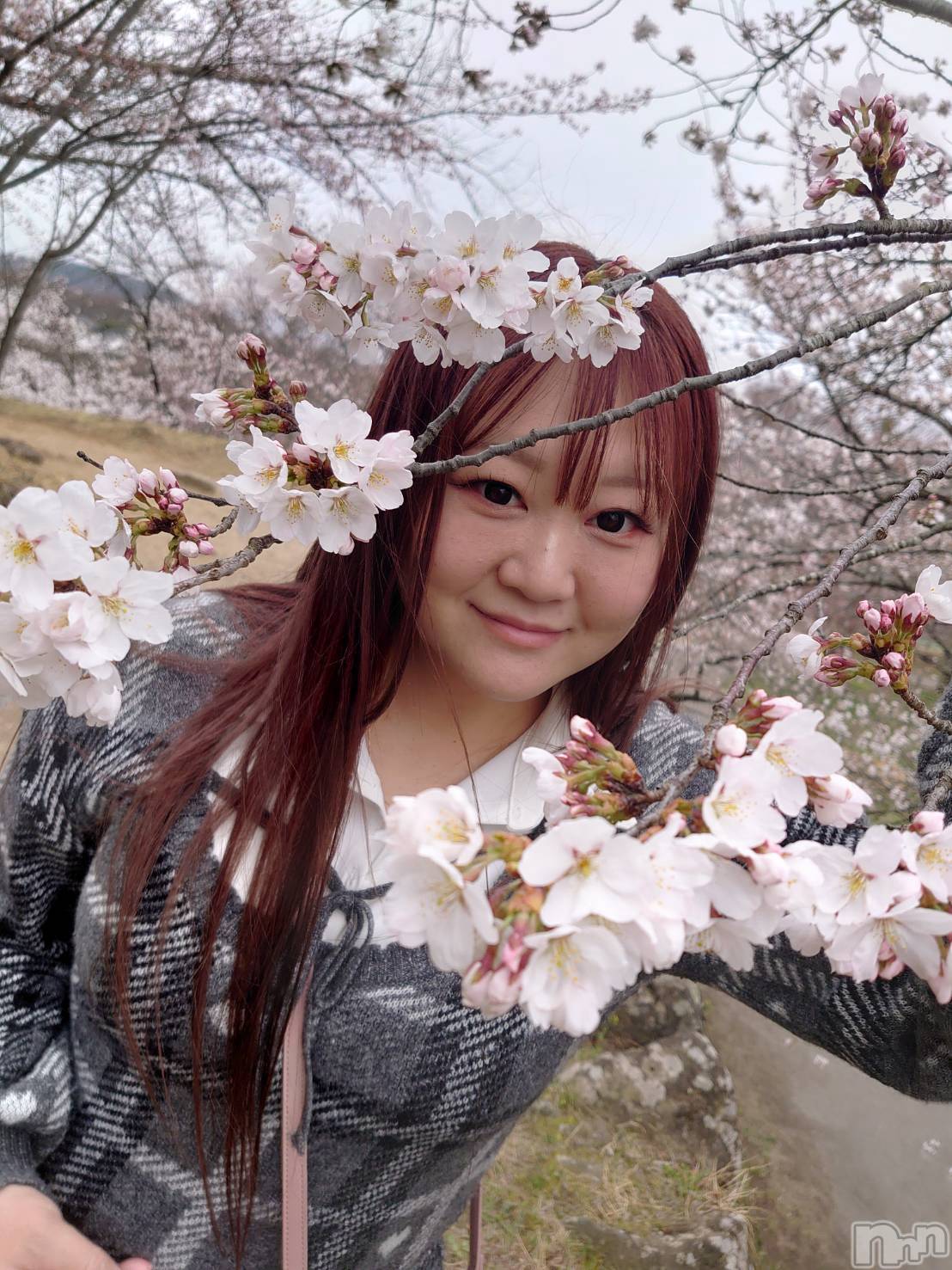 ��Ʋ���ʥå��������륺�С�Muscat`s(�ޥ����å�) ��2026ǯ4��11���̥�֥����֤��ָ�♡��