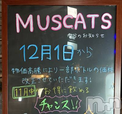 Ʋʥå륺СMuscat`s(ޥå) 1126̥֥֥󥹤褩