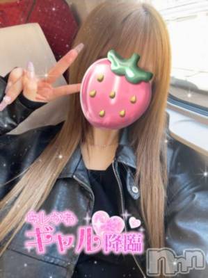 長岡デリヘル ROOKIE(ルーキー) ろん☆感度抜群の完全美少女(20)の10月12日写メブログ「ちなみに」