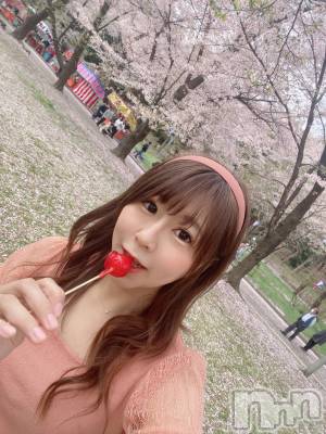 Įʥå륺СNight Lounge Addict(ʥȥ饦󥸡ǥ) 轻(31)48̥֥֤ˤ塼🐥⸒⸒