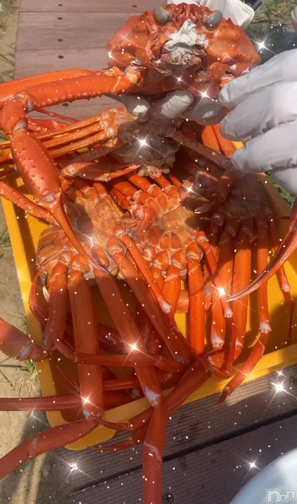 ƲХ顦clubTiara(ƥ) 2024ǯ820̥֥֥🦀