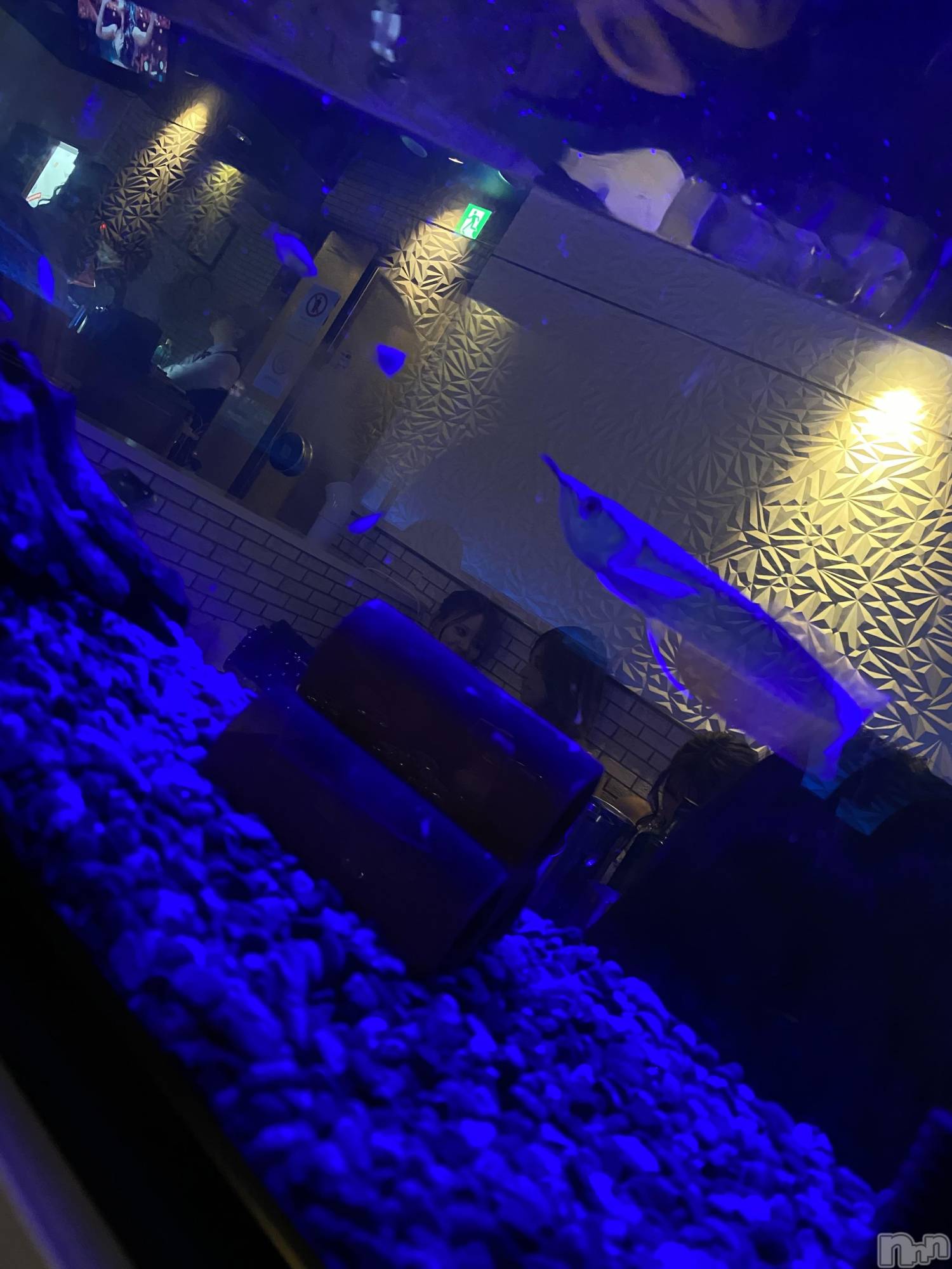 ƲХ顦clubTiara(ƥ) 2025ǯ44̥֥🐟