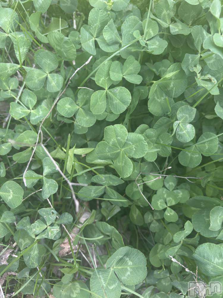 ��Ʋ����Х��顦�����clubTiara(�ƥ�����) ���ߤ��4��18���̥�֥�����4��18�� 02��15ʬ�Υ֥�����