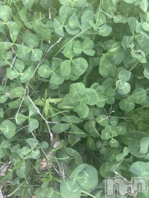 ��Ʋ����Х��顦�����clubTiara(�ƥ�����) ���ߤ�(22)��4��18���̥�֥�����4��18�� 02��15ʬ�Υ֥�����