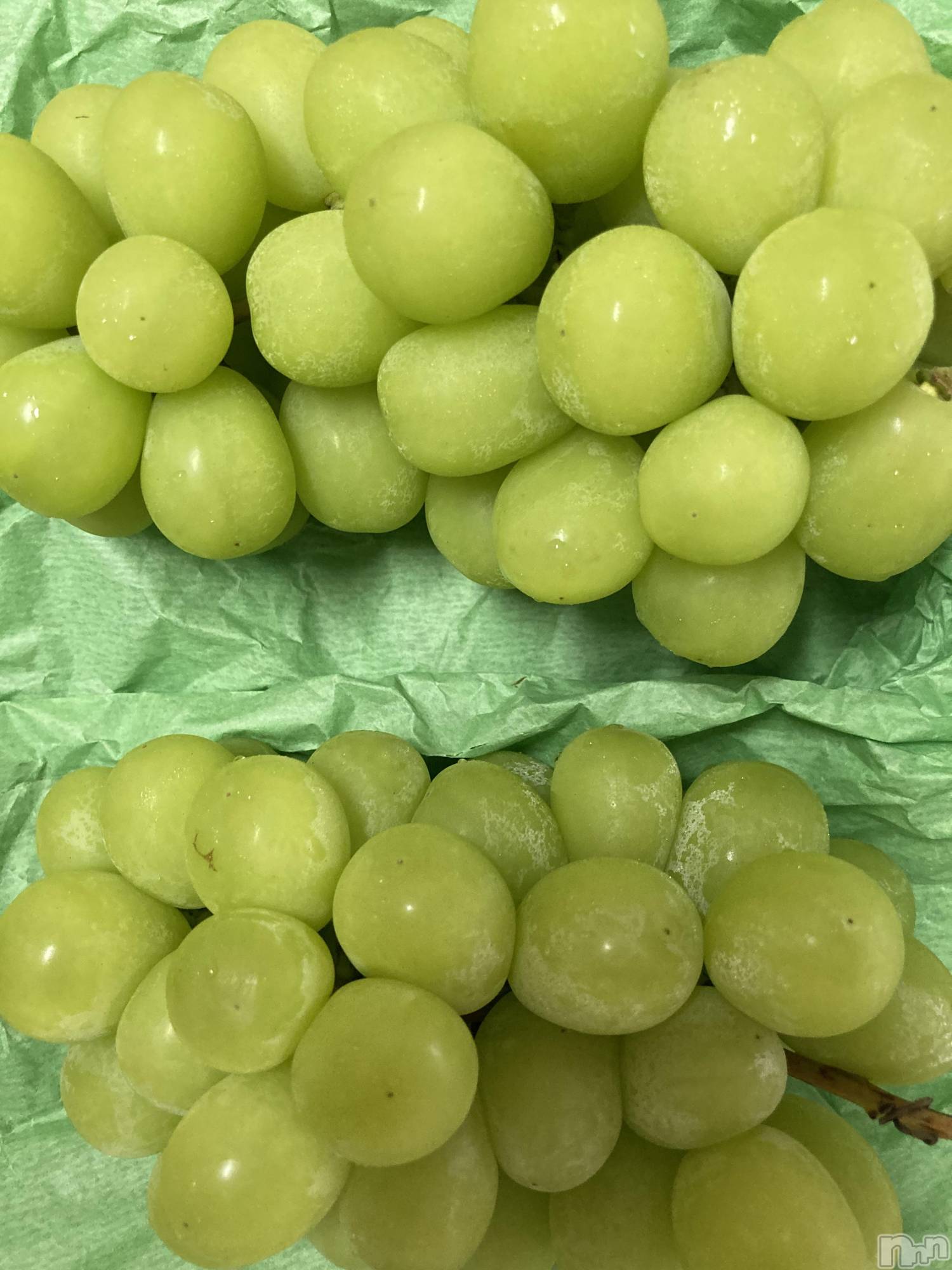 ƲХ顦clubTiara(ƥ) 2024ǯ831̥֥🍇
