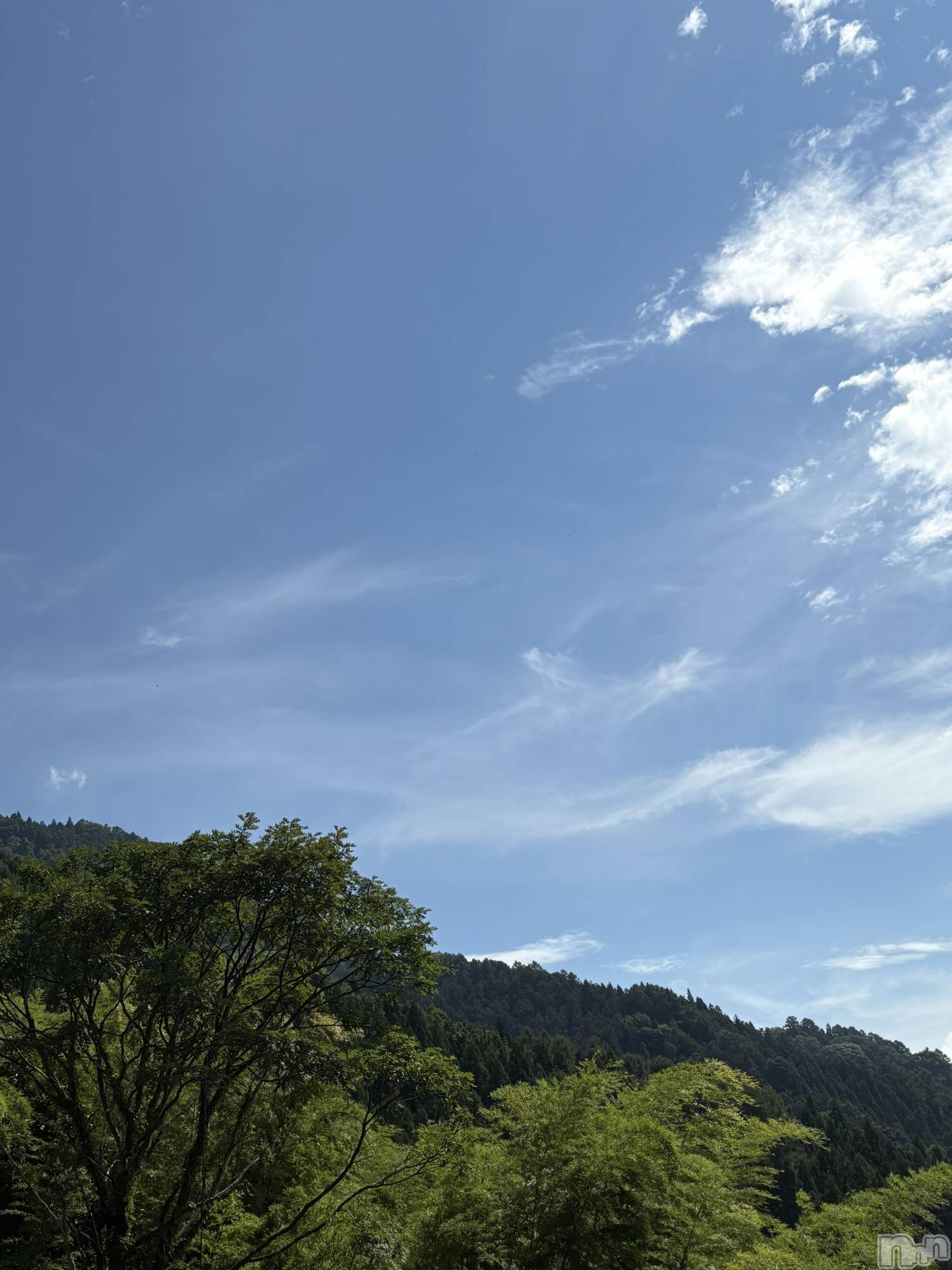 ƲХ顦clubTiara(ƥ) 2025ǯ821̥֥🌳
