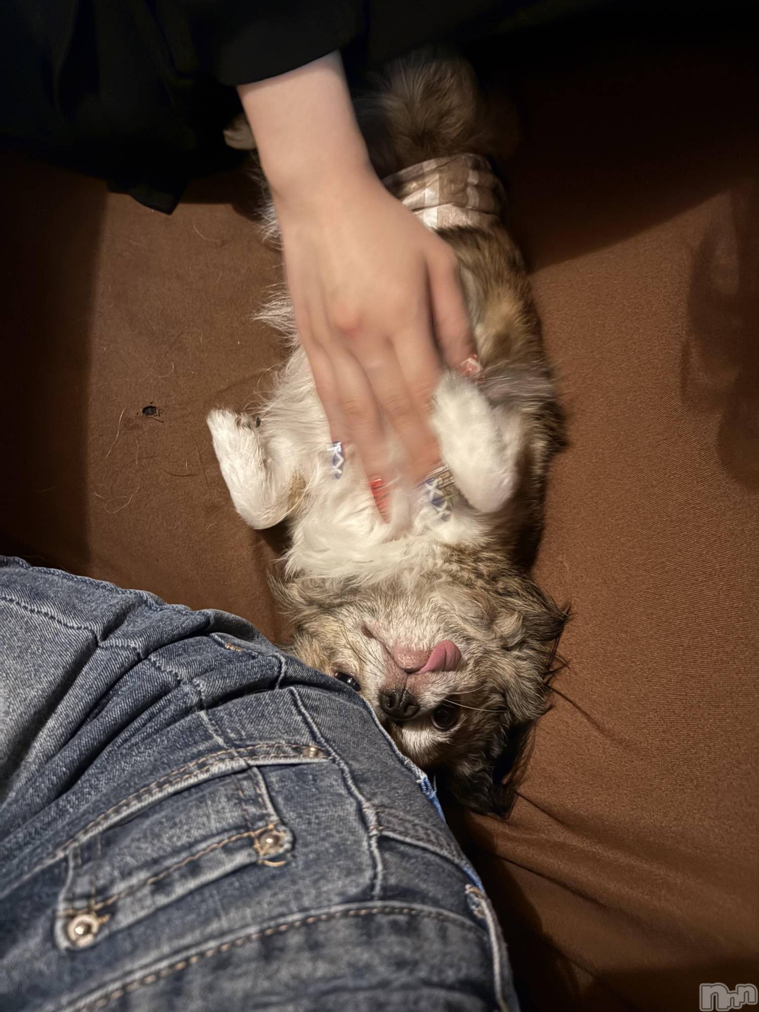 ƲХ顦clubTiara(ƥ) 2025ǯ911̥֥🐶