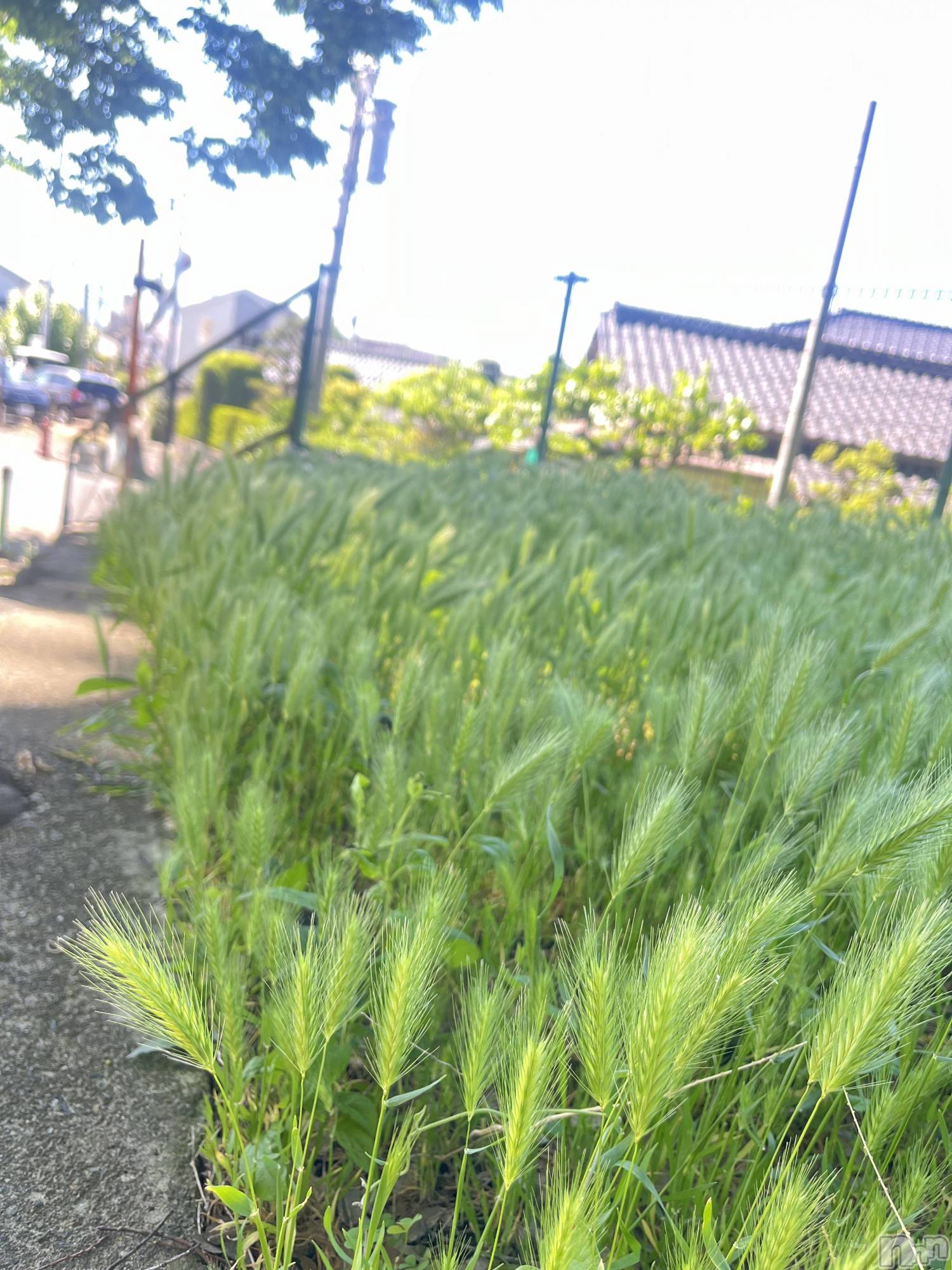 ƲХ顦clubTiara(ƥ) 2024ǯ514̥֥֤ͤ