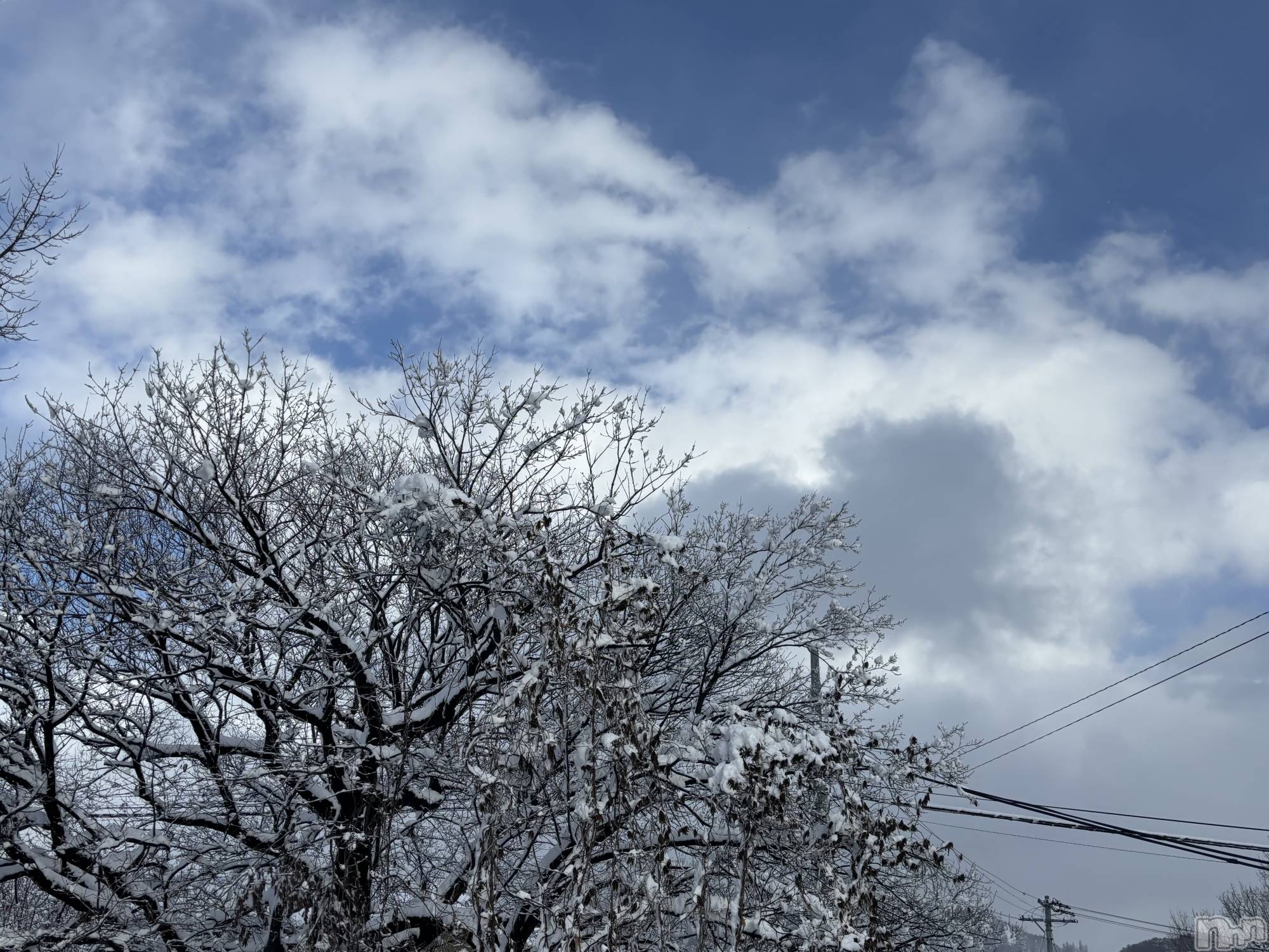 ��Ʋ����Х��顦�����clubTiara(�ƥ�����) ��2025ǯ12��27���̥�֥�����12��27�� 01��08ʬ�Υ֥�����