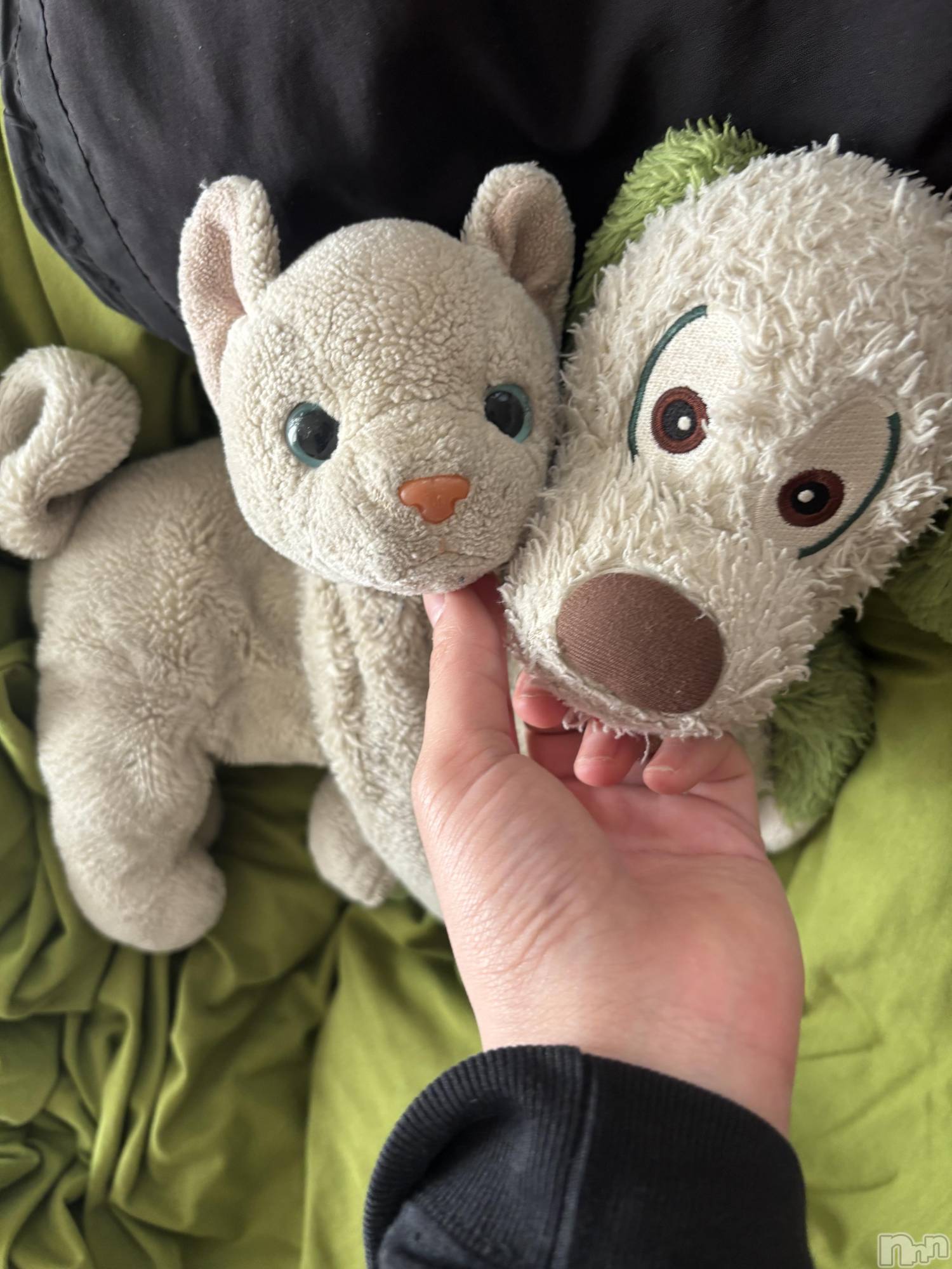 ��Ʋ����Х��顦�����clubTiara(�ƥ�����) ��2026ǯ1��31���̥�֥�����1��31�� 22��45ʬ�Υ֥�����