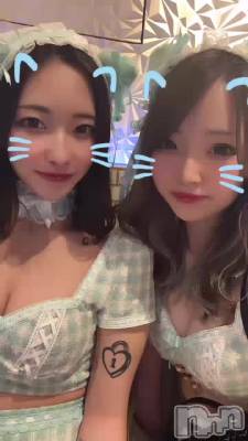 硼🐱🤍