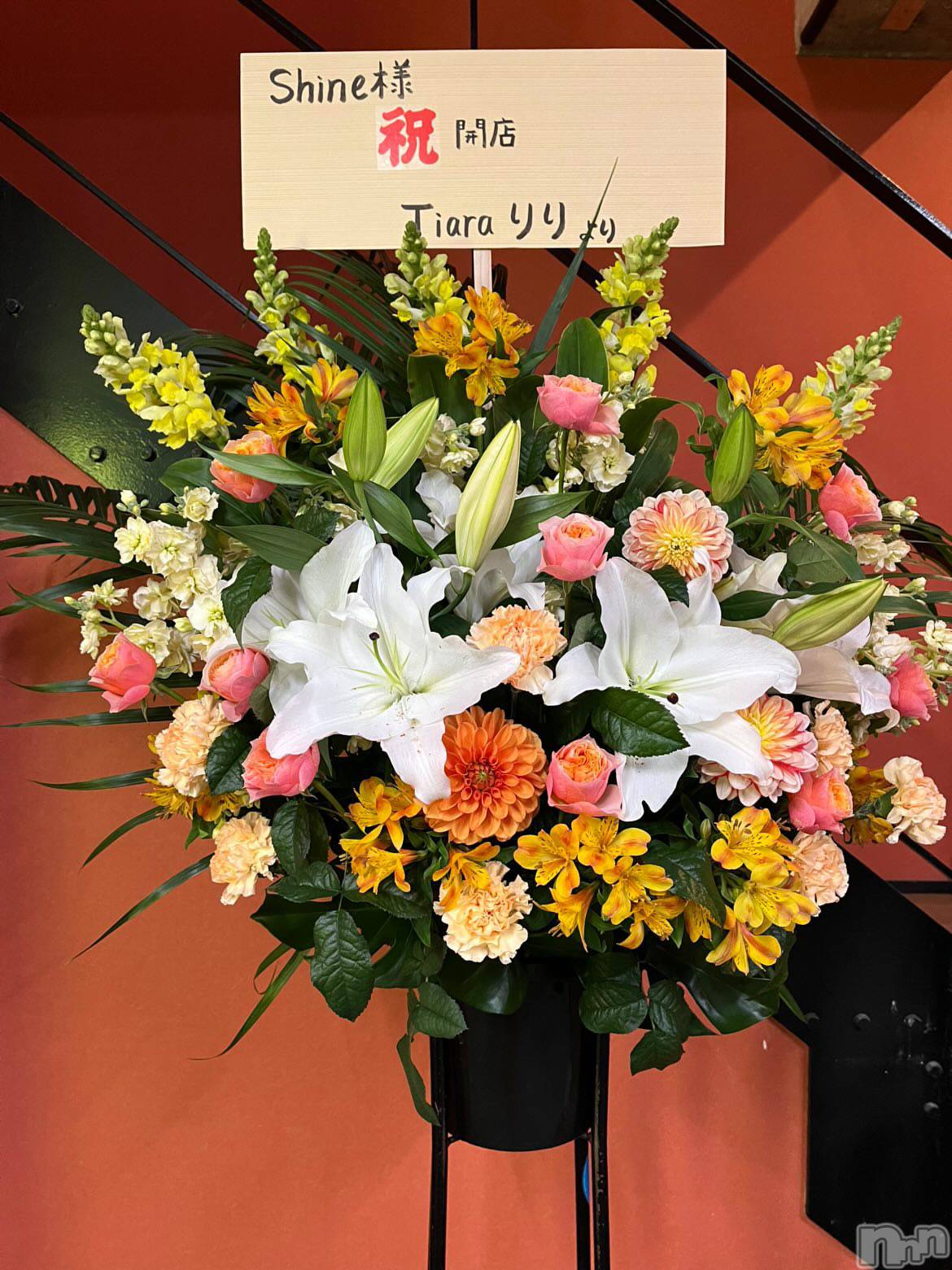 ƲХ顦clubTiara(ƥ) 2024ǯ1216ֺ̥֥