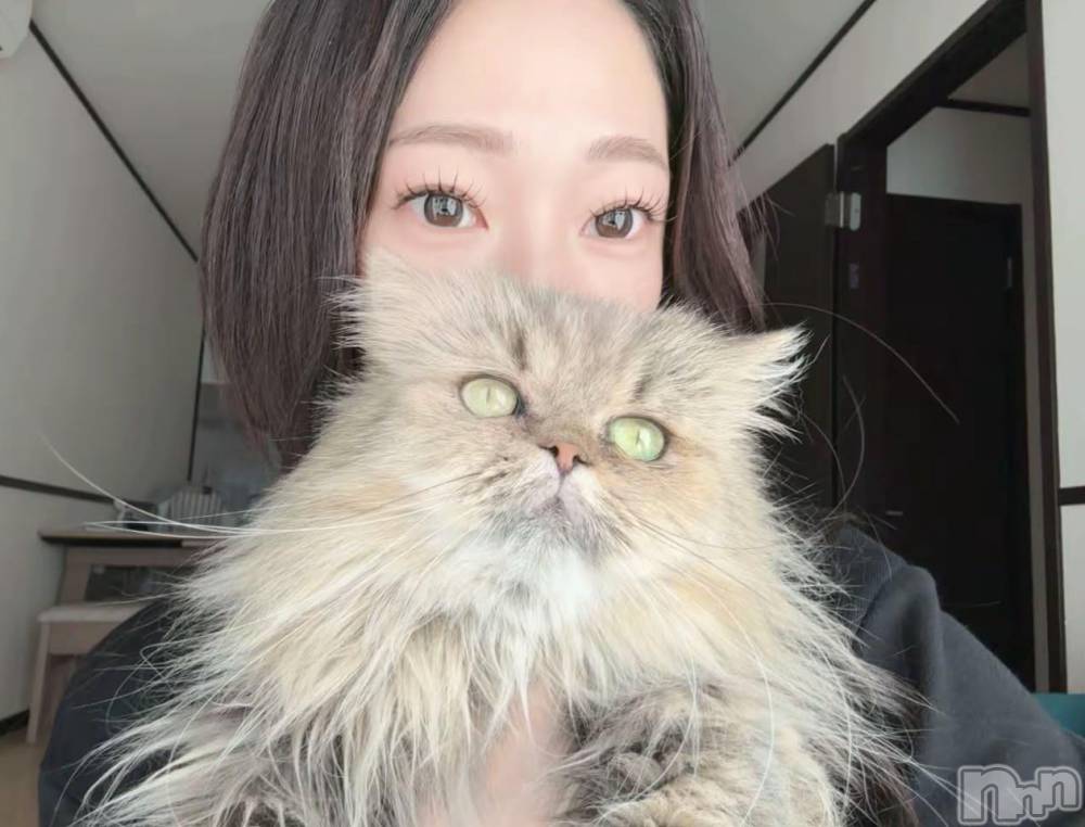 ���ܱ�������Х��顦�����K-LOUNGE(�����饦��) �����10��8���̥�֥����֤ˤ㤪��