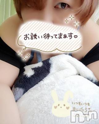 三条デリヘル(ニイガタサンジョウツバメチャンコ)の2026年9月21日お店速報「心を満たす、優しい密着感。」