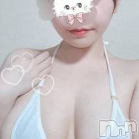 三条デリヘル 新潟三条燕ちゃんこ(ニイガタサンジョウツバメチャンコ)の6月19日お店速報「携帯に合計7,000円分貰える！！！！！」