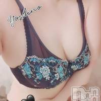 三条ぽっちゃり 新潟三条燕ちゃんこ(ニイガタサンジョウツバメチャンコ)の8月22日お店速報「三条激安60分9,000円（20分増4,000円）120分21,000円」