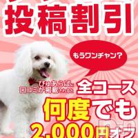 三条デリヘル 新潟三条燕ちゃんこ(ニイガタサンジョウツバメチャンコ)の10月8日お店速報「口コミ投稿割引2000円オフ！投稿する度に何度でも！」