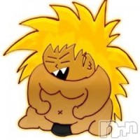新潟三条燕ちゃんこ フォトギャラリー画像5