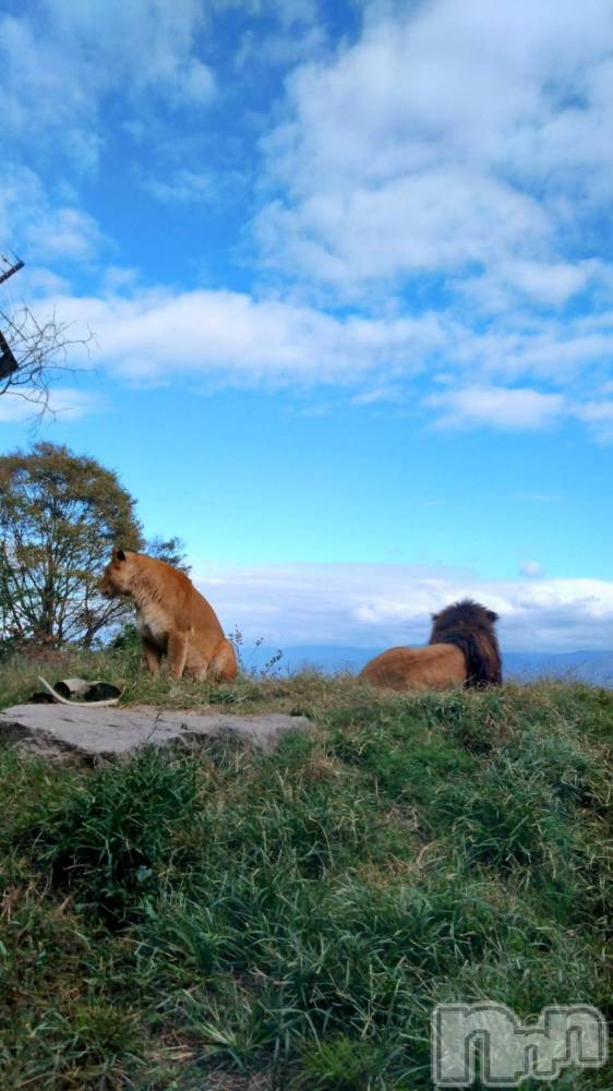 新潟デリヘル五十路マダム新潟店(カサブランカグループ)(イソジマダムニイガタテン) 長谷川かよ(58)の12月1日写メブログ「ご無沙汰してます(♡ᴗ͈ˬᴗ͈)」