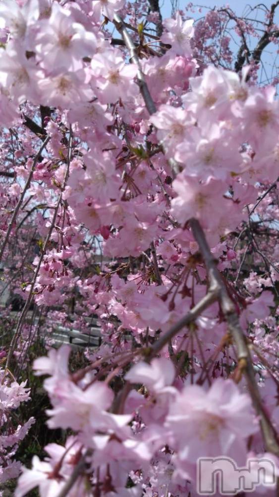 新潟デリヘル五十路マダム新潟店(カサブランカグループ)(イソジマダムニイガタテン) 長谷川かよ(58)の5月6日写メブログ「GWいかがお過ごしですか⁉️」