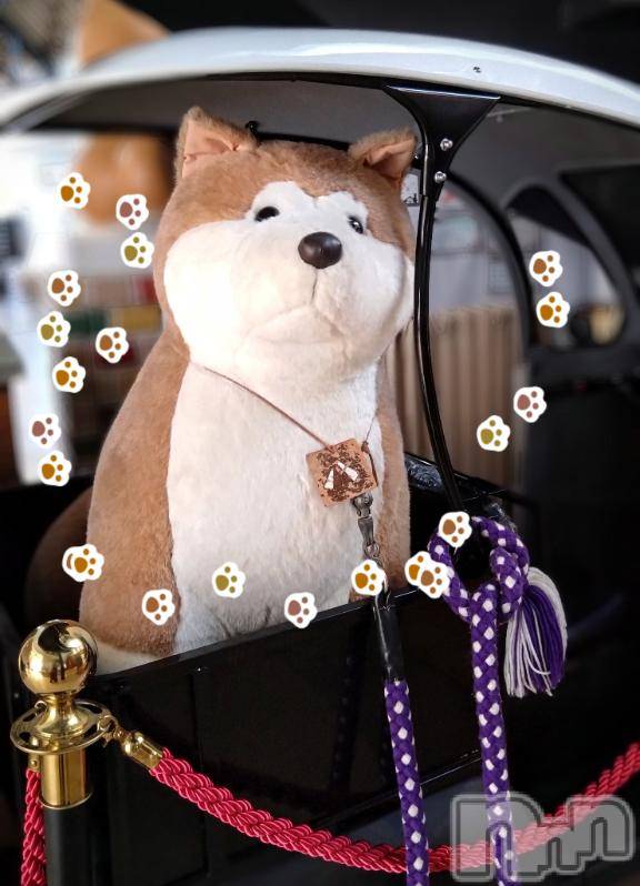 新潟デリヘル五十路マダム新潟店(カサブランカグループ)(イソジマダムニイガタテン)長谷川かよ(58)の2025年2月24日写メブログ「出勤します(*^^*)」