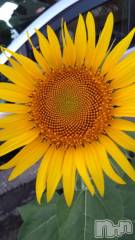 新潟デリヘル五十路マダム新潟店(カサブランカグループ)(イソジマダムニイガタテン) 長谷川かよ(58)の10月14日写メブログ「昨日のお礼  その2」