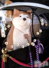 新潟デリヘル五十路マダム新潟店(カサブランカグループ)(イソジマダムニイガタテン) 長谷川かよ(58)の2月27日写メブログ「長谷川、出勤します(*^^*)」