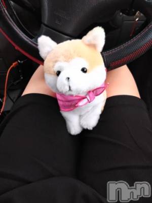 新潟デリヘル 五十路マダム新潟店(カサブランカグループ)(イソジマダムニイガタテン) 長谷川かよ(58)の12月1日写メブログ「打ってきましたょ…」