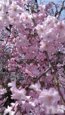 新潟デリヘル 五十路マダム新潟店(カサブランカグループ)(イソジマダムニイガタテン) 長谷川かよ(58)の5月6日写メブログ「GWいかがお過ごしですか⁉️」