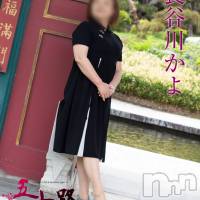 長谷川かよ