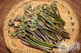 上越デリヘル(ラブツマ)の2015年5月28日お店速報「申し訳ございませんφ(´ε｀*) 」