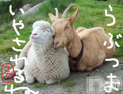 上越デリヘル(ラブツマ)の2015年7月3日お店速報「らぶ妻がアナタを癒す」