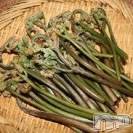 上越デリヘル らぶ妻　～新潟の人妻が集う店～(ラブツマ)の5月28日お店速報「申し訳ございませんφ(´ε｀*) 」