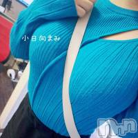 上越人妻デリヘル らぶ妻　～新潟の人妻が集う店～(ラブツマ)の11月12日お店速報「エロス奥様と禁断の空間へ」