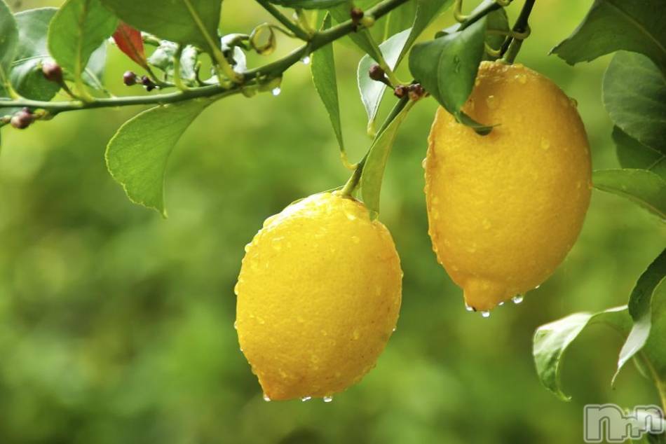 上越デリヘル(ラブラブ)の2015年6月27日お店速報「らぶらぶのブランチ」