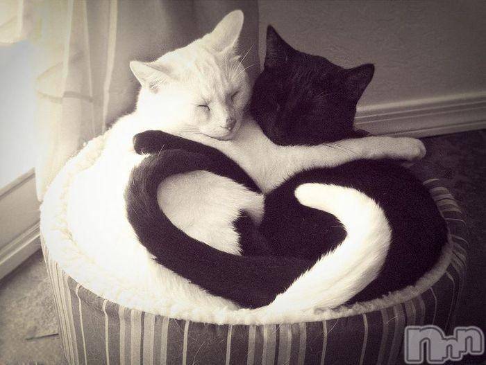 上越デリヘル(ラブラブ)の2015年9月23日お店速報「残り枠あとわずか！！！」