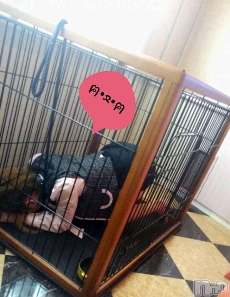 上越デリヘル(ラブラブ)の2018年8月12日お店速報「飛び込みで出勤です！！」