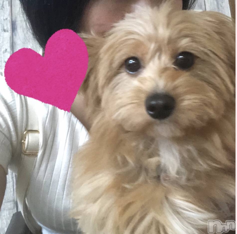 上越デリヘル(ラブラブ)の2019年9月18日お店速報「朝立ちしてるちんちん食べちゃいます」