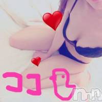 上越デリヘル らぶらぶ　地域密着!!地元新潟女性と会える店(ラブラブ)の1月13日お店速報「☆綺麗系勢揃い☆」