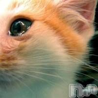 上越デリヘル らぶらぶ　地域密着!!地元新潟女性と会える店(ラブラブ)の2月14日お店速報「大変申し訳ありません」