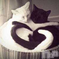 上越デリヘル らぶらぶ　地域密着!!地元新潟女性と会える店(ラブラブ)の7月18日お店速報「らぶっ娘とらぶらぶイイコト…(〃ω〃)」