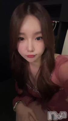 ����������✨