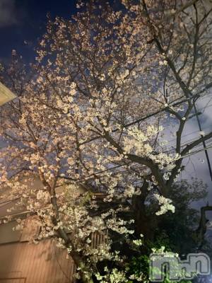 長岡デリヘル 純・無垢(ジュンムク) こはく(20)の7月23日写メブログ「27🙌🏻」