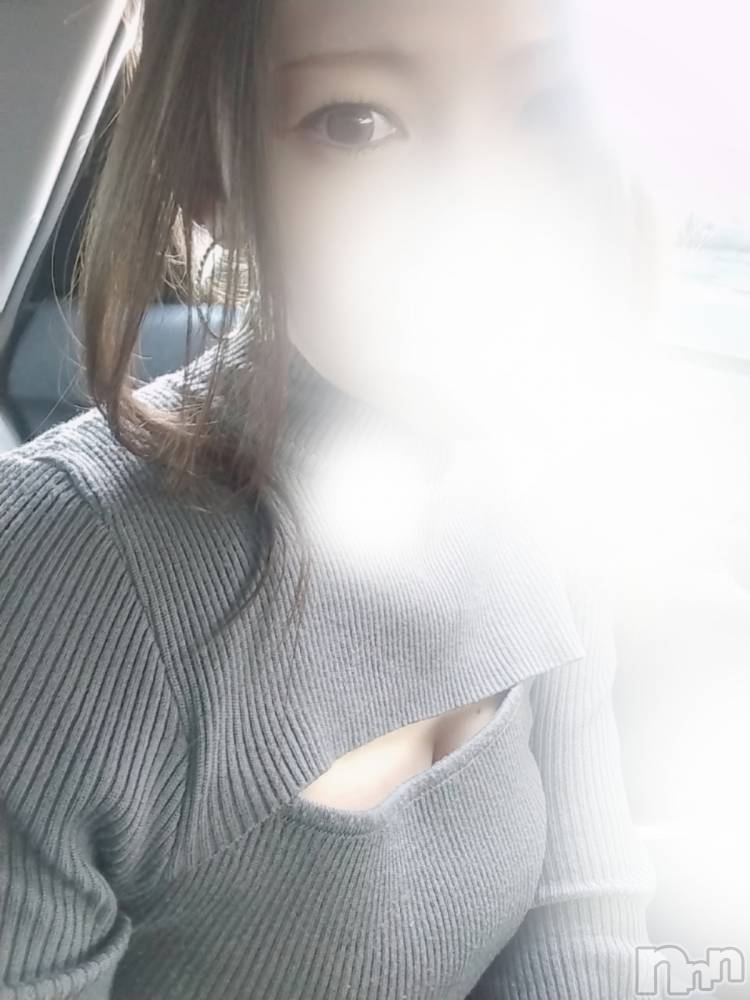 ȯѥ˥󥯥֥ޥॳѥ˥椦 Ź(ޥॳѥ˥楦˥ƥ) ߤۤ48̥֥֤äĤ