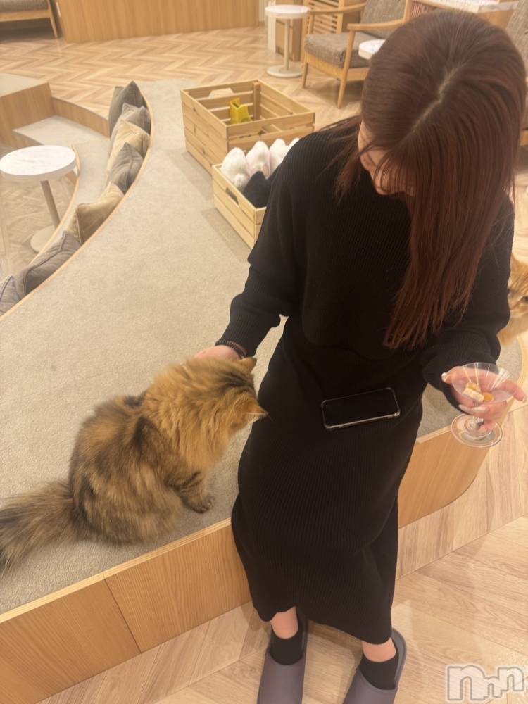 ܱХ顦() 317̥֥😸