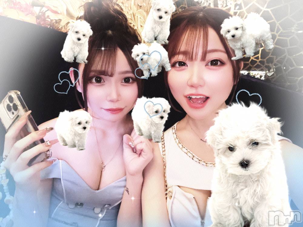 ܱХ顦() 44̥֥🐶⭐