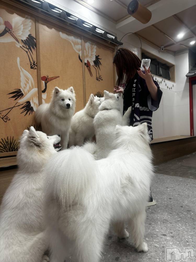 ܱХ顦() 1017̥֥🐕 ͗ ͗