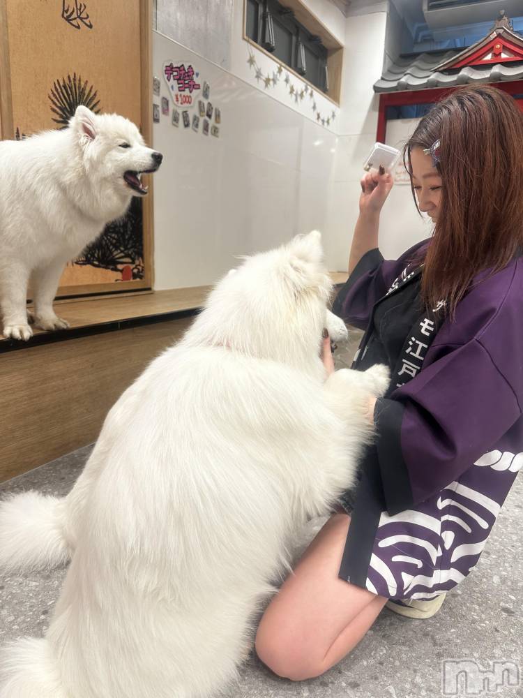 ܱХ顦() 1119̥֥🐕 ͗ ͗