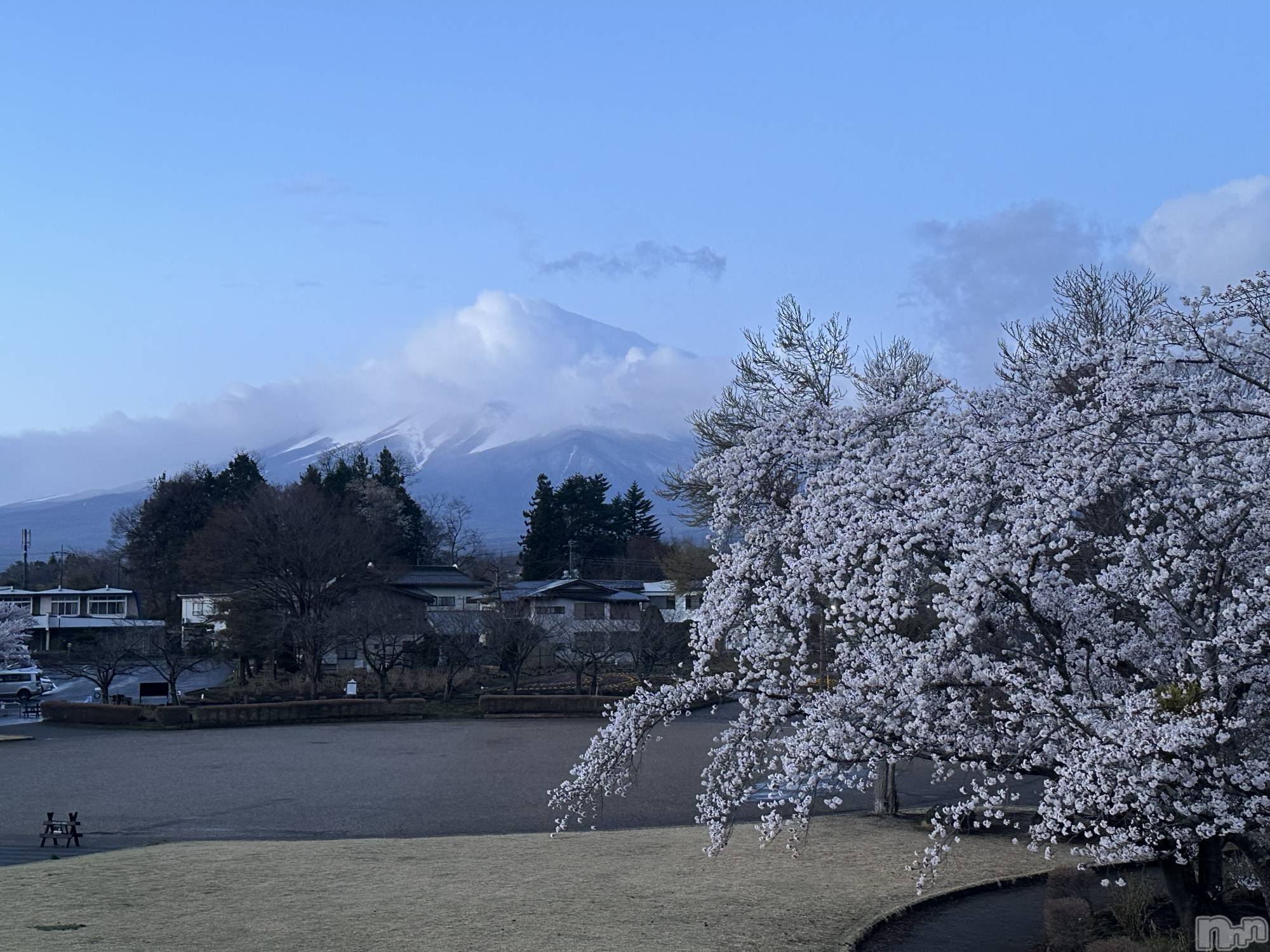 ܱХ顦() 2025ǯ418̥֥🌸