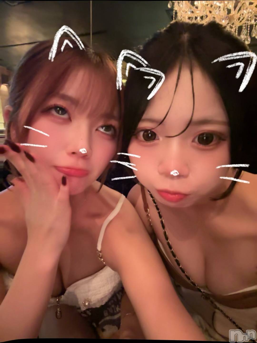 ܱХ顦() 2025ǯ1020̥֥(  ⌯⌯ )ᐝ